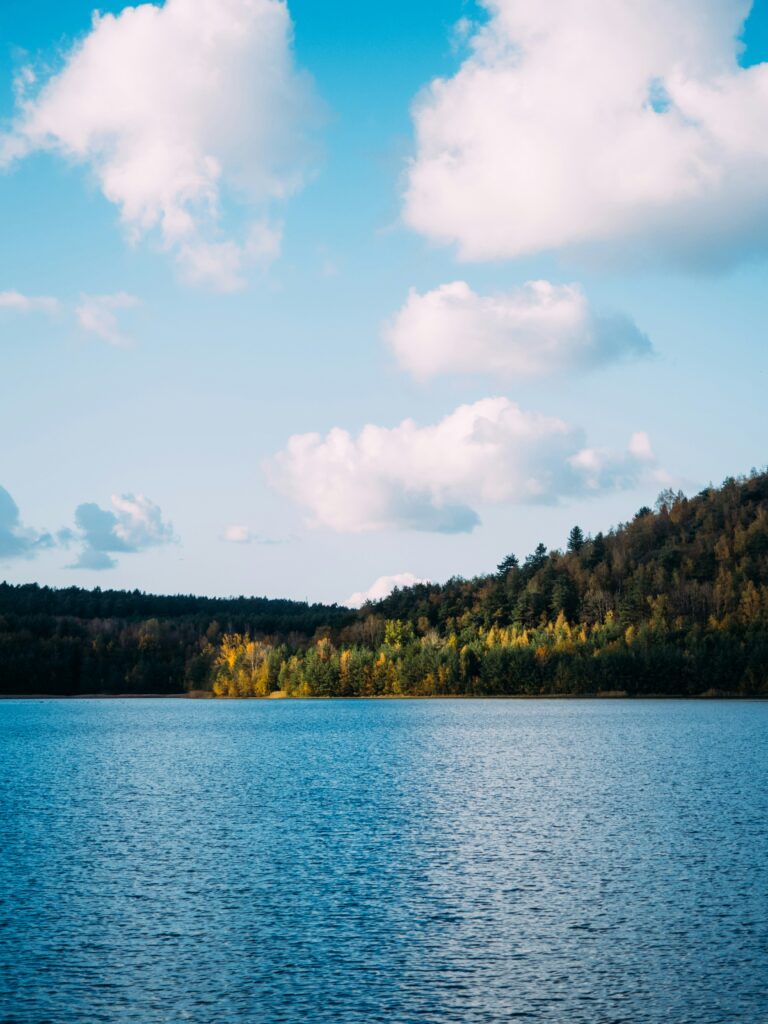 Brecht Denil ( Unsplash )