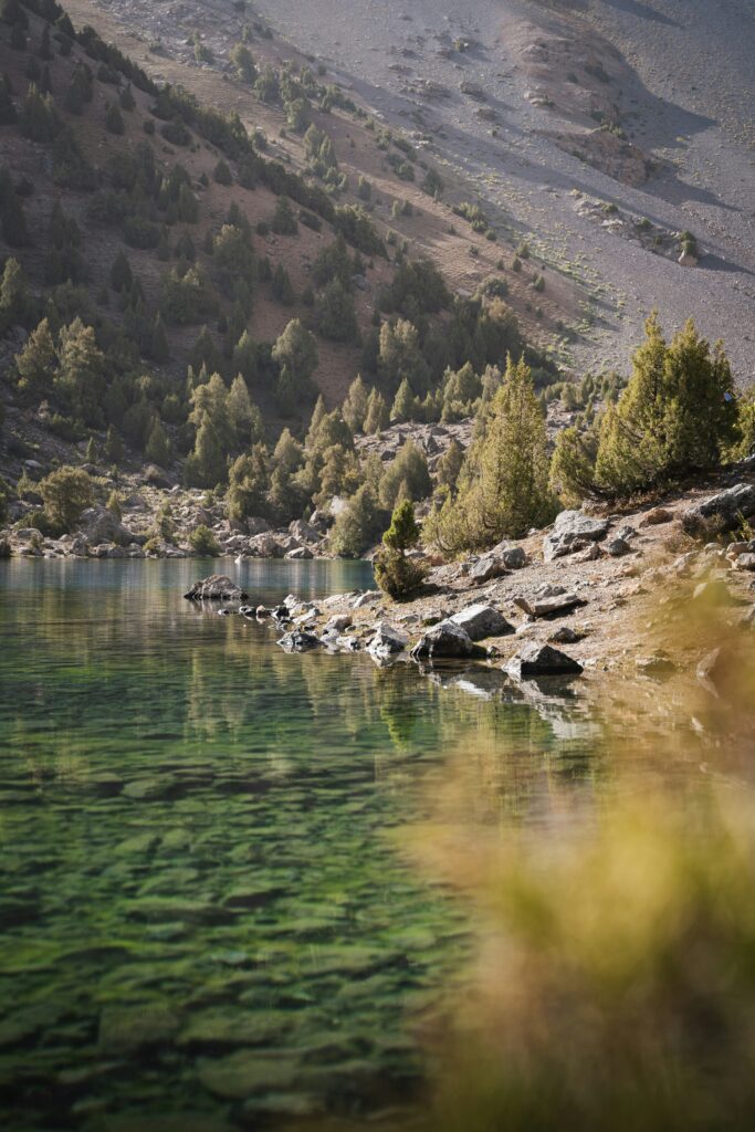 Slava Auchynnikau Xi ( Unsplash )